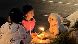 "Good Cats, Good Dogs, Good Kids"