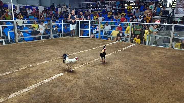 2hits new elorde cockpit arena 2nd fight champion