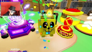 Noob to Not Pro in Roblox Clicker Simulator
