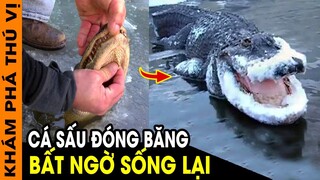 🔥 7 Bí Ẩn Siêu Kỳ Lạ Và Thú Vị Dưới Lớp Băng Mà Sách Giáo Khoa Không Hề Dạy Bạn Biết | KPTV