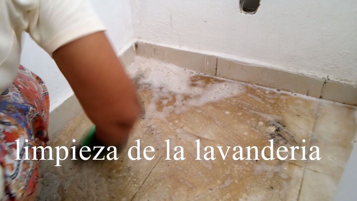 LIMPIEZA Y ORGANIZACION de mi Lavanderia