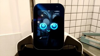 The Conservation of Mybot Robot! 🤖