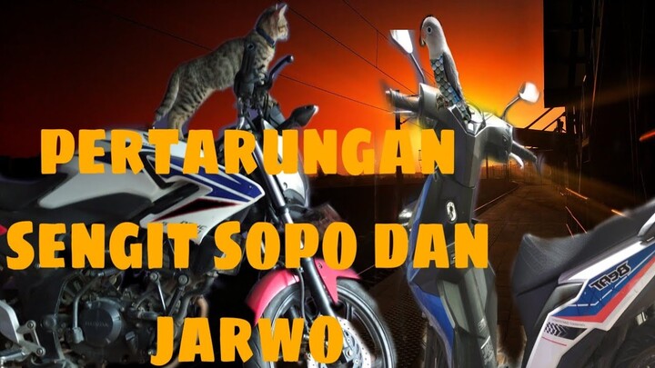 Kucing lucu⁉️⁉️⁉️⁉️⁉️-Pertarungan sengit sopo jarwo