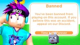 Why I  was PERMANENTLY BANNED from Pet Simulator X...