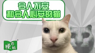 【梗百科】令人不安和令人心安的猫是啥梗？