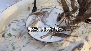 重生表白失败，校花急了25
