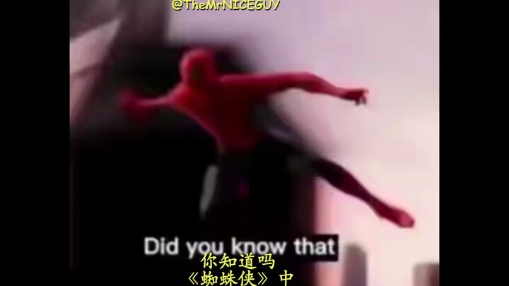 [Subtitle Mandarin] Sebuah fakta menarik yang jarang diketahui tentang "Spider-Man"