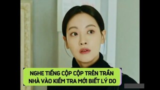 [HOA DU KÝ] Nghe tiếng cộp cộp trên trần nhà vào kiểm tra mới biết lý do