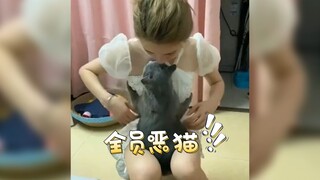 《全员恶猫》