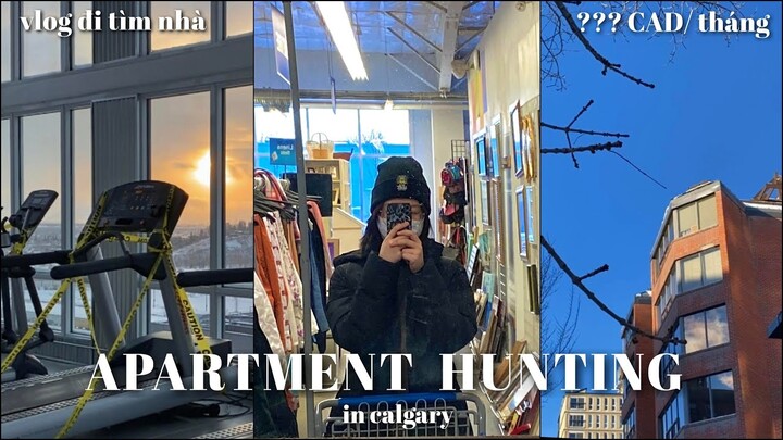 THUÊ NHÀ Ở CANADA🇨🇦 | TÌM NƠI Ở MỚI TRONG 7 NGÀY!? | APARTMENT HUNTING IN CALGARY | mngann