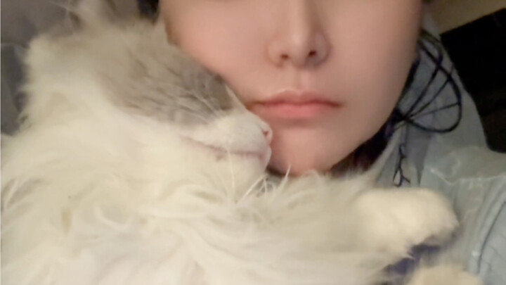 My nosy relative kept nagging that I’d abandon the cat, and now look what’s happened to it.