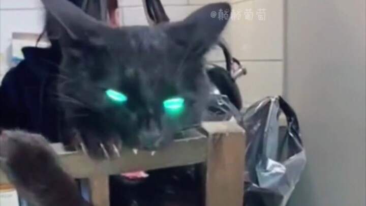 “代表着害怕，代表着有鬼”