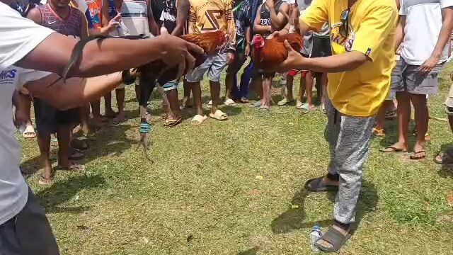 3rd Fight (Win) Tagpuan