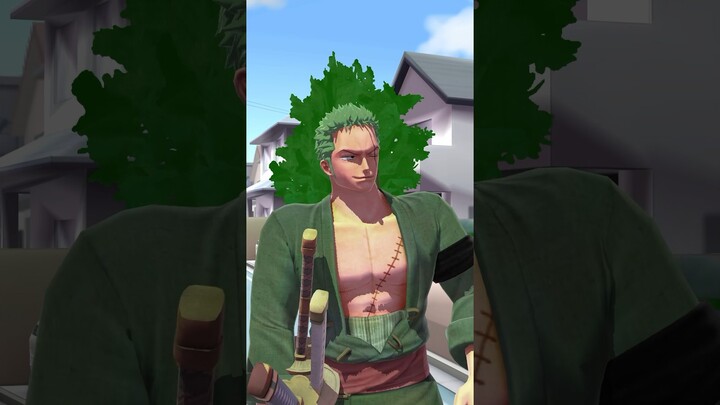 La légende raconte qu’il ce promène encore ☝️😂 #anime #onepiece #roronoazoro #zoro