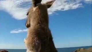 كلهم هادئون جدًا!