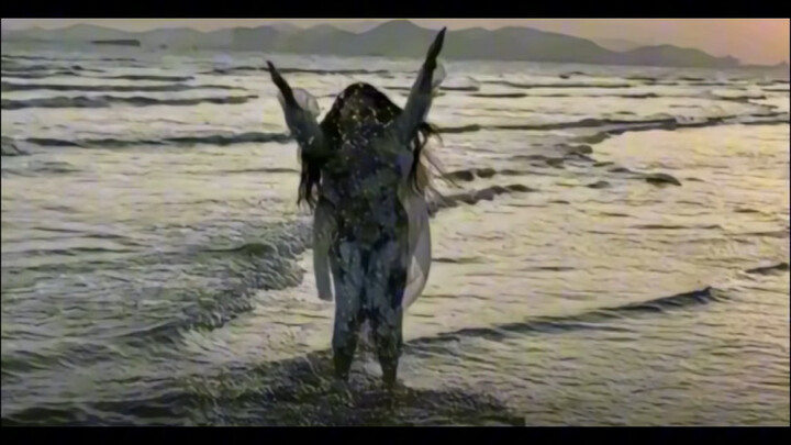 Funny commentary on photographic works in the comment section—if you don't laugh after reading it, y