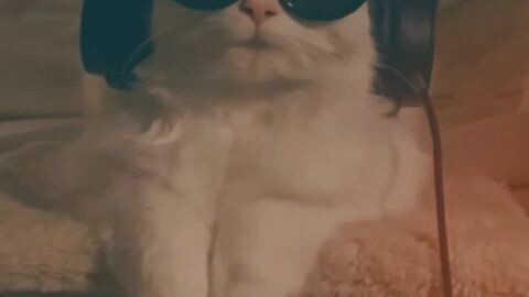 follow me for more content thank you!!