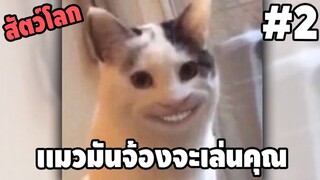 รวมคลิปตลกๆ : อย่าเผลอนะมานุด!!