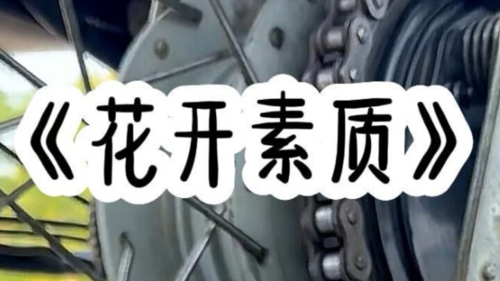花开素质