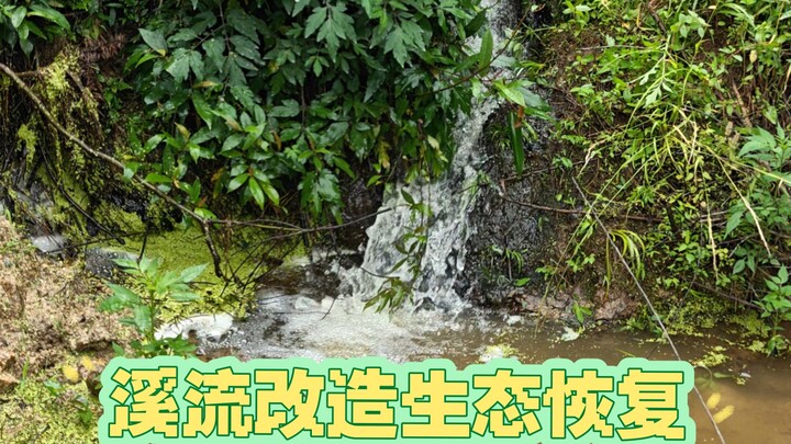 修水坝二期工程，恢复家门口的溪流生态环境义不容辞！