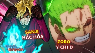 Sanji với sức mạnh HẮC HỎA, Zoro và bí ẩn ý chí D!