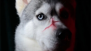 Year-end summary compilation