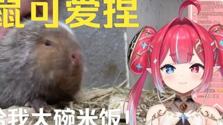 Tiểu tử Nhật vừa nhìn anh em Huânong vừa kêu mình ăn vừa nhìn Shushu vào nồi.