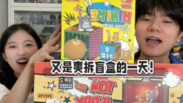 Lai Fu nói thích mèo và chuột, hãy mua cho cậu ấy!