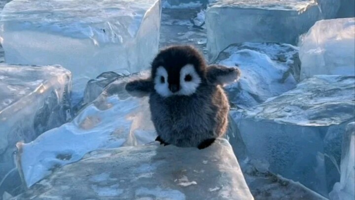 "Share this with funny and cute people to watch"