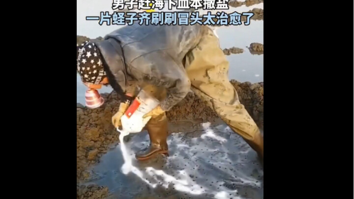 Sướng quá, cảm ơn!