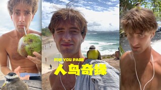 在旅行途中结识了一只小鸟，然后一起遛弯儿，一起健身，一起拉💩