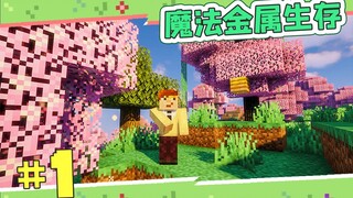 Magic Metal Survival Episode 1 Memasuki Dunia Baru