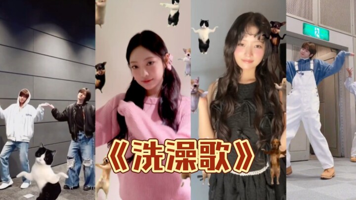 这个cha在洋抖还挺火的!都是些小萌物呀!