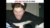 Mèo Nhà Tao Lúc 2h Sáng