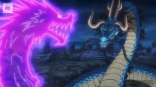 REAKSI KAIDO KETIKA TAU ZORO PUNYA HAKI RAJA DI DUNIA ONE PIECE!!?😱☠️