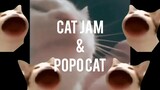 [HD Special] Disco Cat & POPO Cat