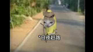 滴水之恩 当涌泉相报