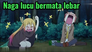 Naga lucu bermata lebar