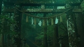 📍Location  高住神社/Takasumi Shrine フォロー/保存/コメントをいただけますと励みになります。