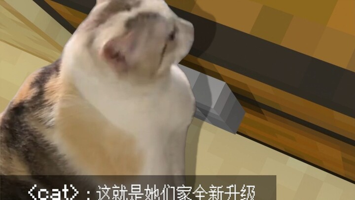 Cuộc Phiêu Lưu ở Đền Thờ