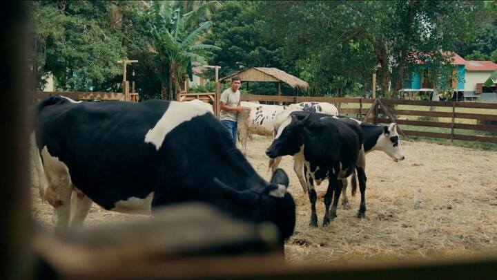 MOJOKU HILANG (OFFICIAL TRAILER) DI PAWAGAM 23 JULAI 2026