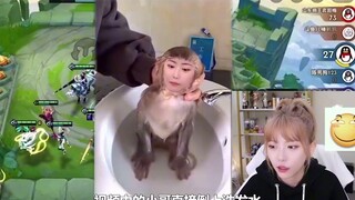 周淑怡最想删除的黑历史节目效果拉满
