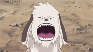 dogs behind the aubreys sub español kiba y akamaru