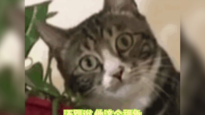 Firefighter, my frail colleague who can't take care of himself