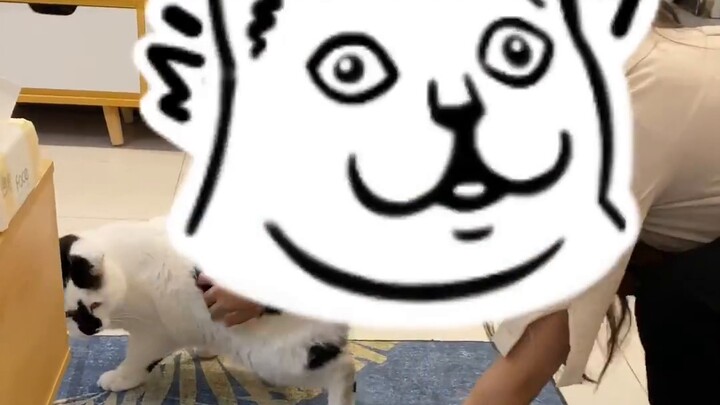 No one wants to play with Xiaoguai