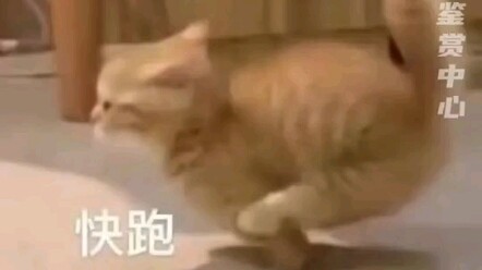 أفضل نهاية لمشاكسي الإنترنت. شعور غريب بالسلاسة.