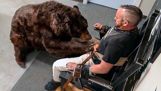 He is trapped with a wild bear (and covered in honey!) | Jackass Forever | CLIP