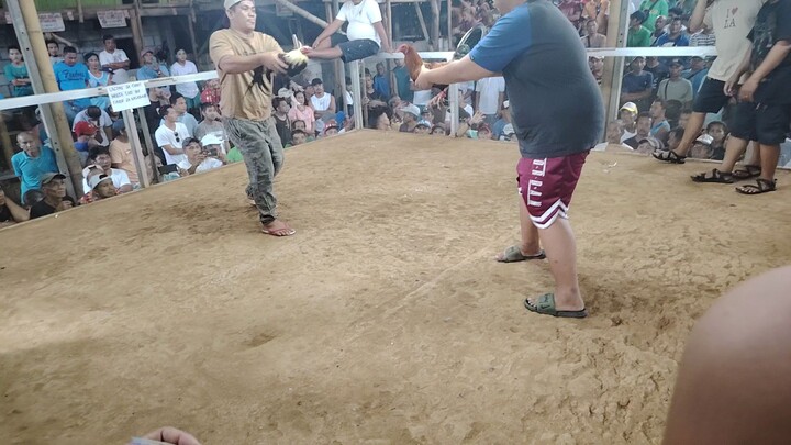 Pintung bukawe hack fight