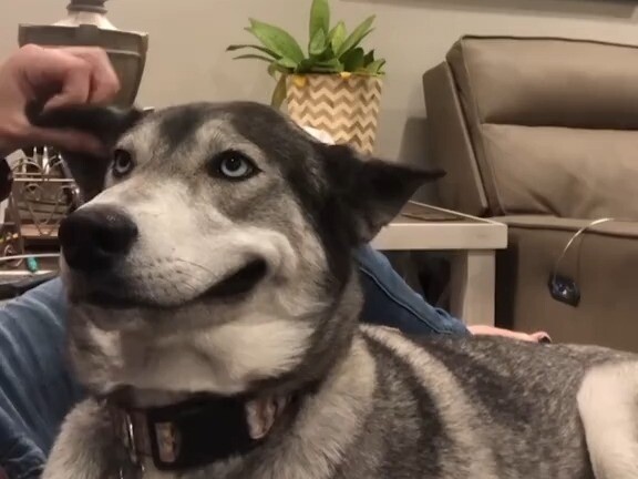 Cô ấy cũng thích sờ sờ.