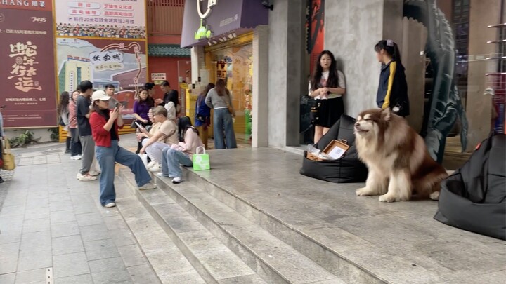Every day on the streets of Guangzhou, there are all sorts of interesting scenes—like anime girls ha